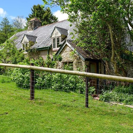 Lower Goytre Farmhouse Llanfair Waterdine Exterior photo